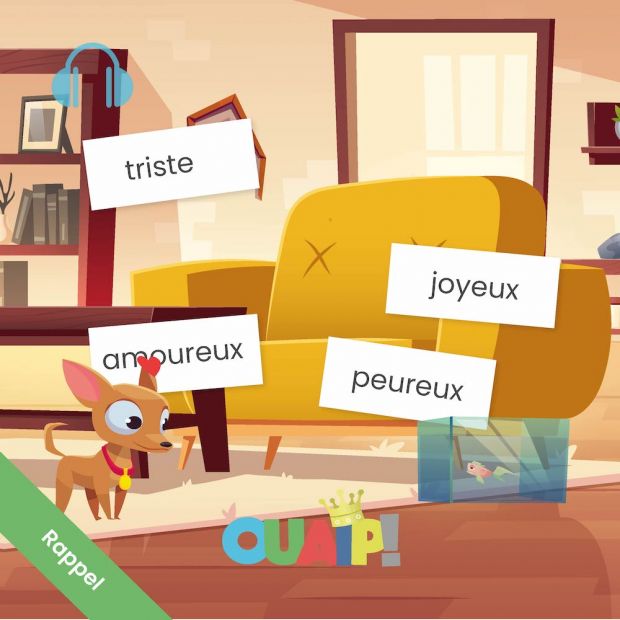 Rappel : c'est quoi un adjectif ?